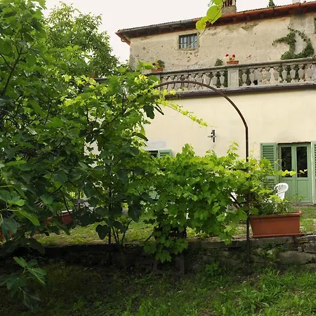 Holiday home La Colonica *
